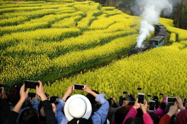 3040臺(tái)“華為榮耀”手機(jī)被深圳海關(guān)沒(méi)收，案值逾340萬(wàn)元