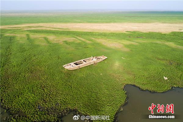 沈夢辰穿上婚紗了?。￡P曉彤這次的紅毯裙我無法吐槽