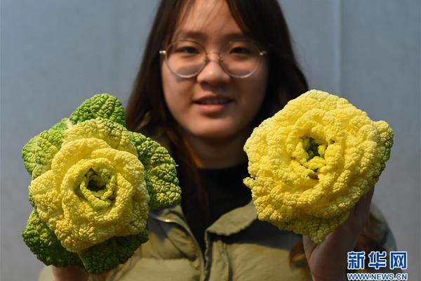 研究：貓能聽懂自己名字 看來理不理你是另外一回事