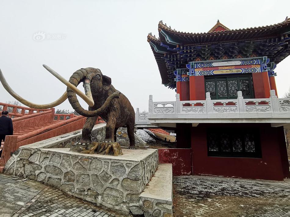 民工從8米高工地墜落被鋼筋穿體，醫(yī)生和消防聯(lián)合救援，看著都痛