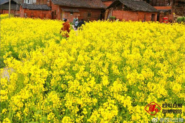 周天勇：如何理解人類命運共同體