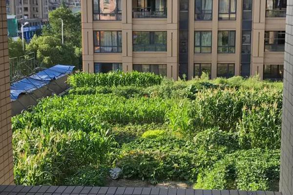 家居企業為何不再爭涌上市？