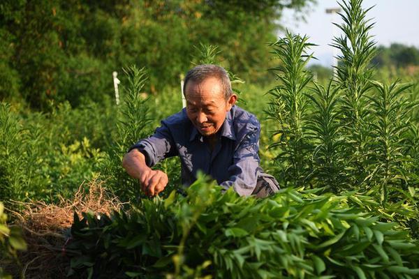 IG寧王泄漏訓(xùn)練賽，GRF隊(duì)員很不滿：他不該討論韓國隊(duì)！