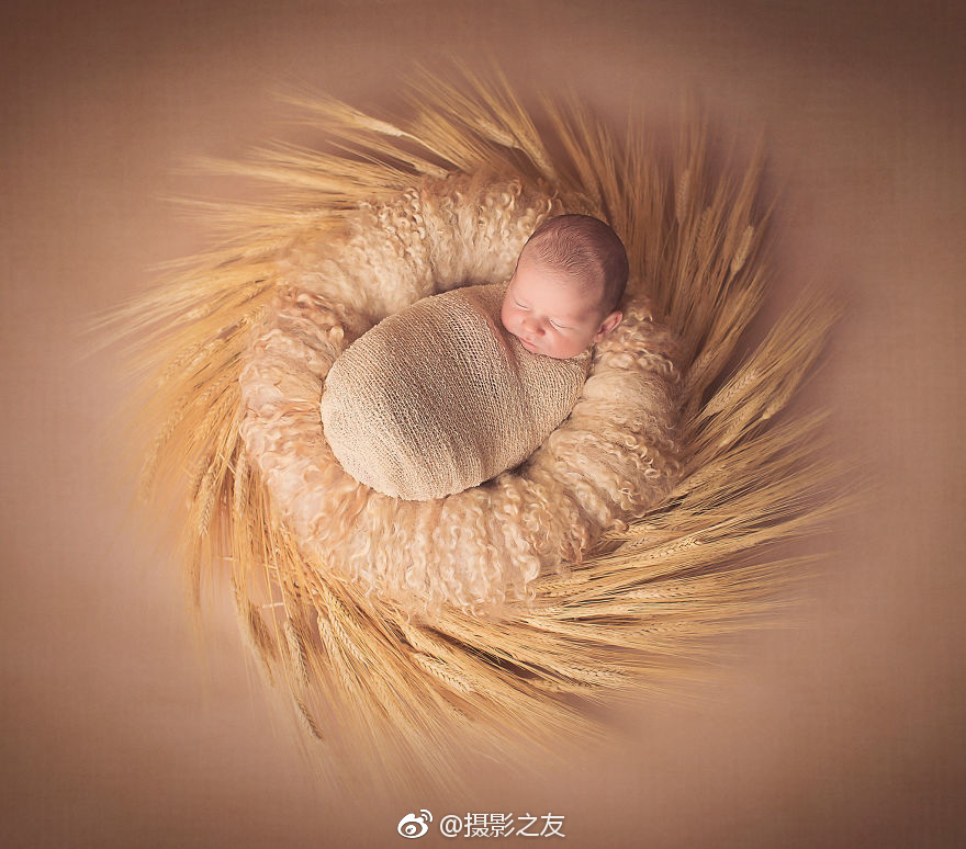 何炅與汪涵一同慶生 楊樂樂：彼此要珍惜啊