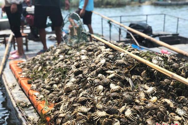 越南與印尼在南海爆發沖突：艦船對撞、持槍叫罵還豎中指