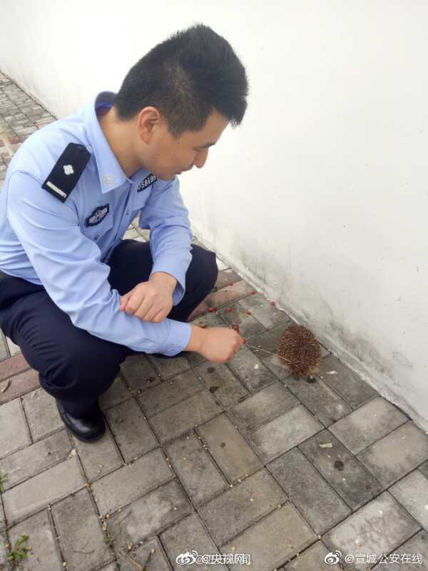 阿黛爾被曝酒吧熱吻男子 目擊者：長得蠻像她前夫