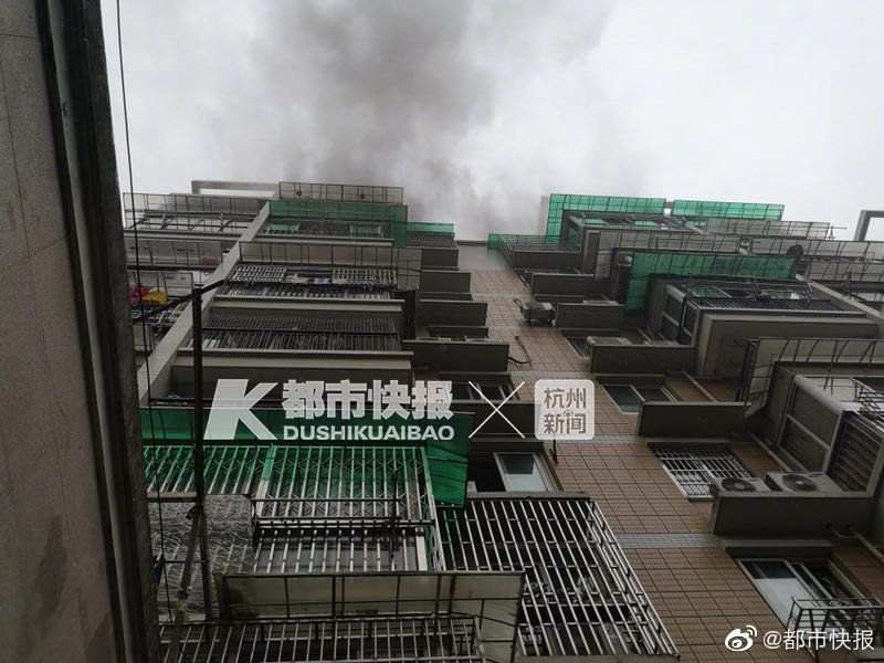 科爾批技犯累積禁賽制度盼改革：季后賽走更遠反不利