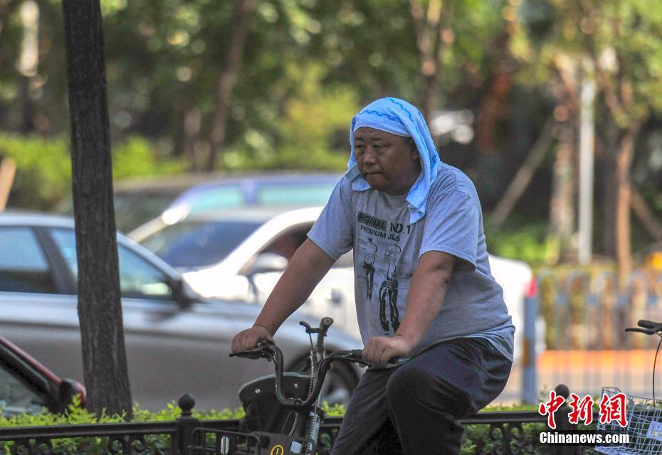博士考高職不是人才