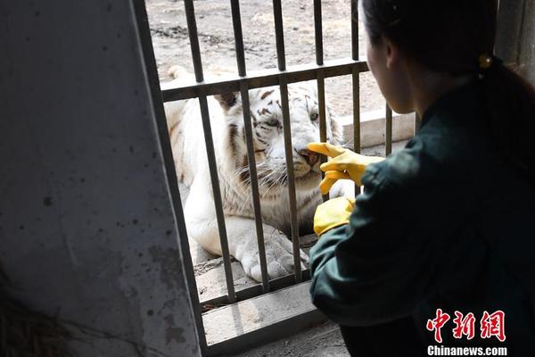 凡·高情人死于自殺，波蘭斯基起訴奧斯卡