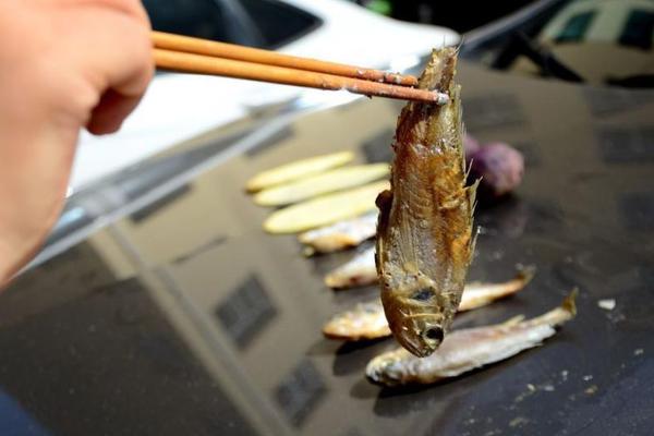 一批股票一季度虧光去年全年盈利 多只翻倍股在列
