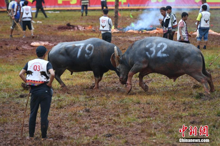 CBA下季新賽制:常規賽4組循環 增至46輪