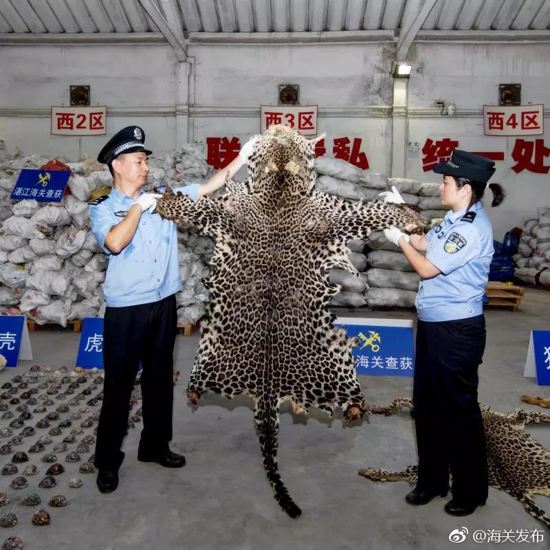 亞馬遜為何突然成了賺錢機器？可持續嗎？