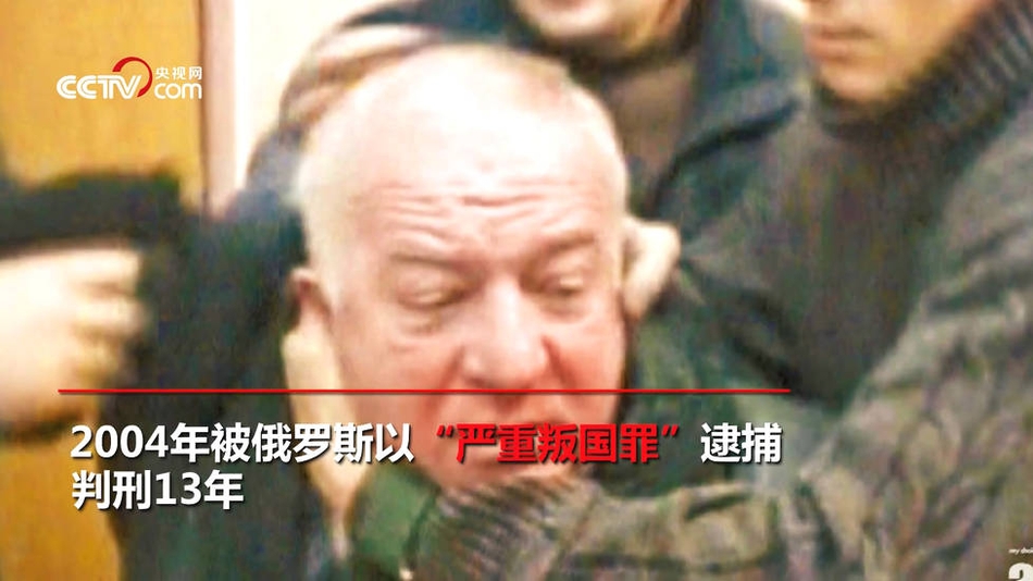 搜救犬水災救援22天殉職 主人:它太累了