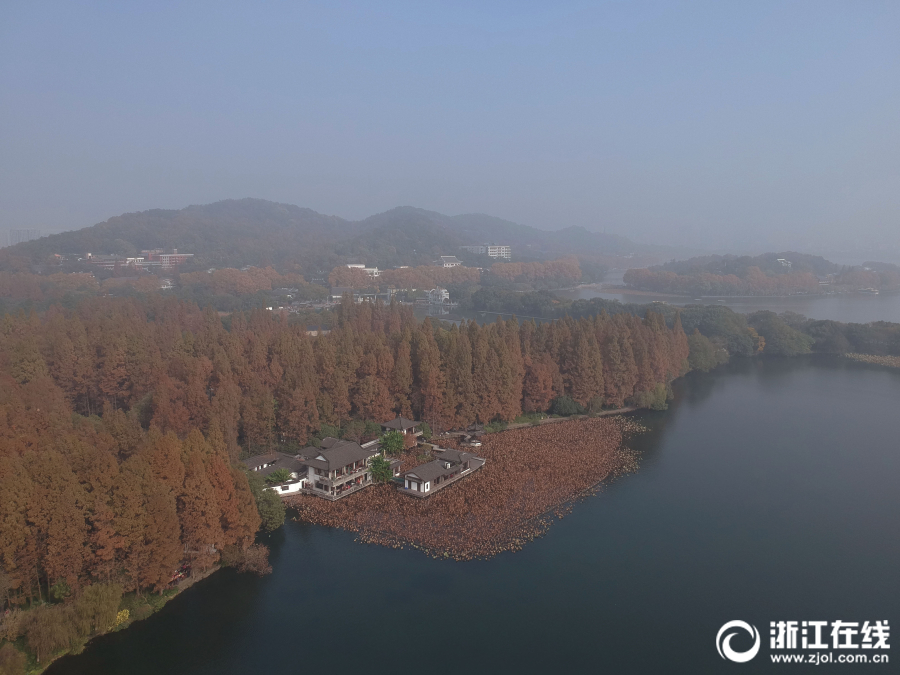 款姐出街 馬蓉與王寶強(qiáng)財產(chǎn)分割后又炫富了