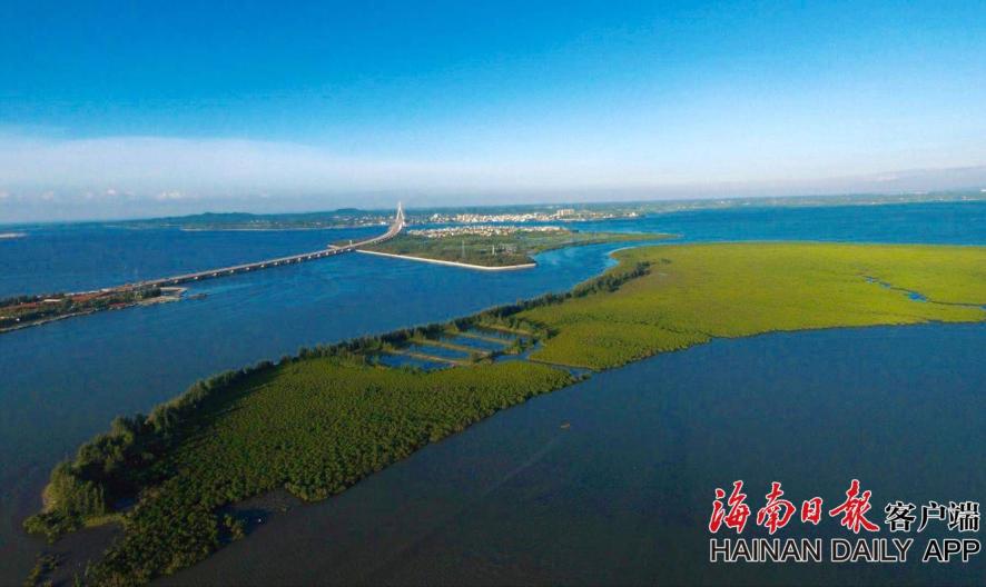 十大“不考研”也不影響就業(yè)的專業(yè)