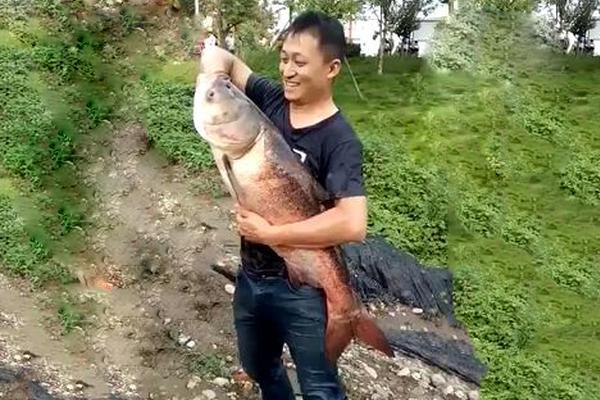 符家三個(gè)女兒都成了皇后