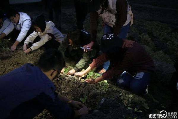 華誼兄弟上市后年度首虧 馮小剛鄭愷為對賭買單