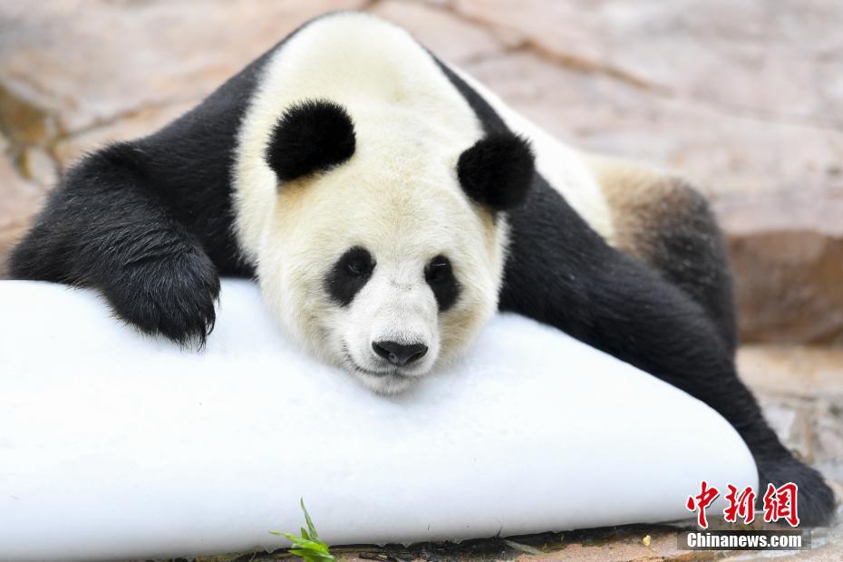 他為中國導(dǎo)彈雕刻翅膀 零件厚度僅頭發(fā)絲的1/16(圖)