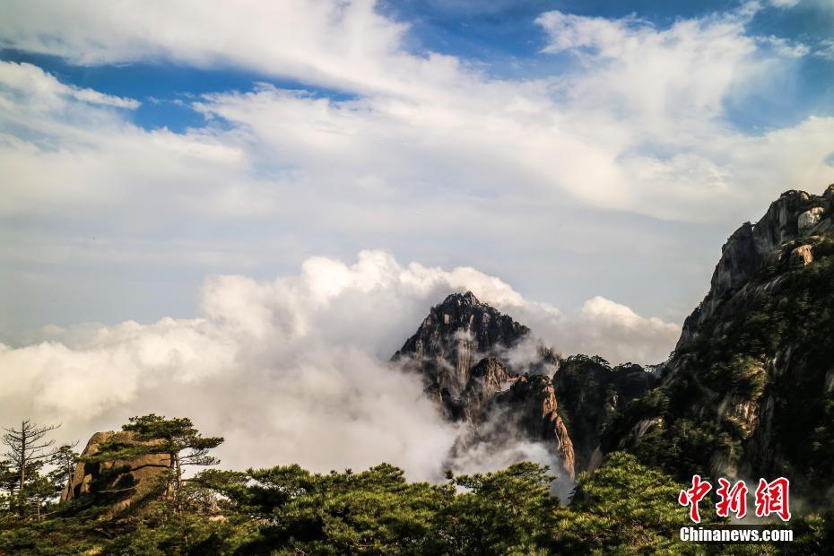 西方領導人未出席影響一帶一路論壇舉辦?外交部回應