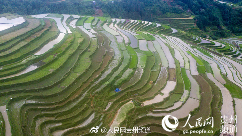 誰是游戲版號開閘最大受益者