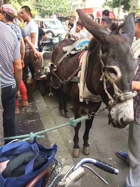 火勇廝殺裁判唱戲 庫里關(guān)鍵1射好驚險