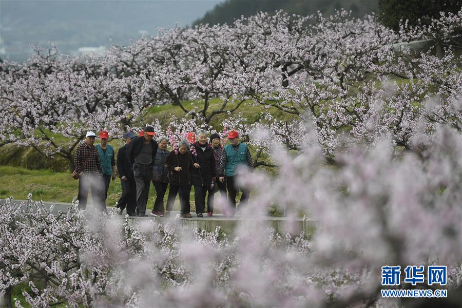 整治保健亂象百日行動效果如何?官方這么說