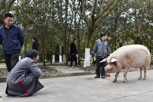 利比亞法院審判IS成員時遭襲 4名安全人員死亡
