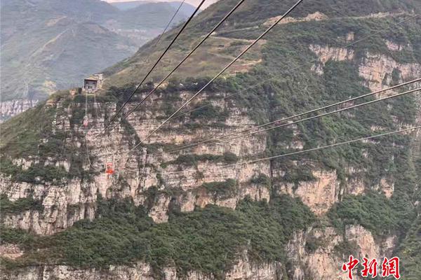 澳洲一大樹“哭泣”引百人膜拜 水務公司：水管...