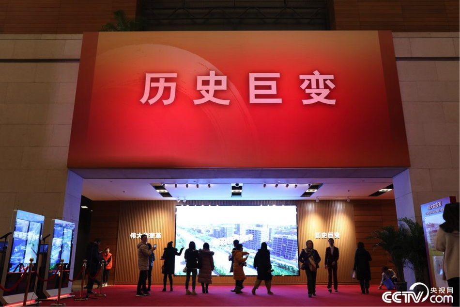 美國小黑喵先天性小腦發育不全 走路搖晃仿佛醉酒
