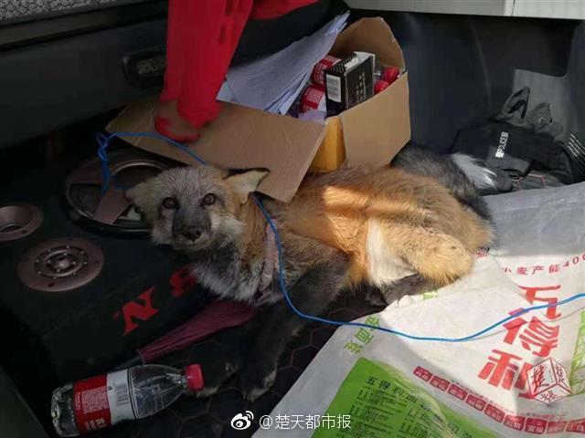 美航借道南航入華 航空聯(lián)盟格局生變
