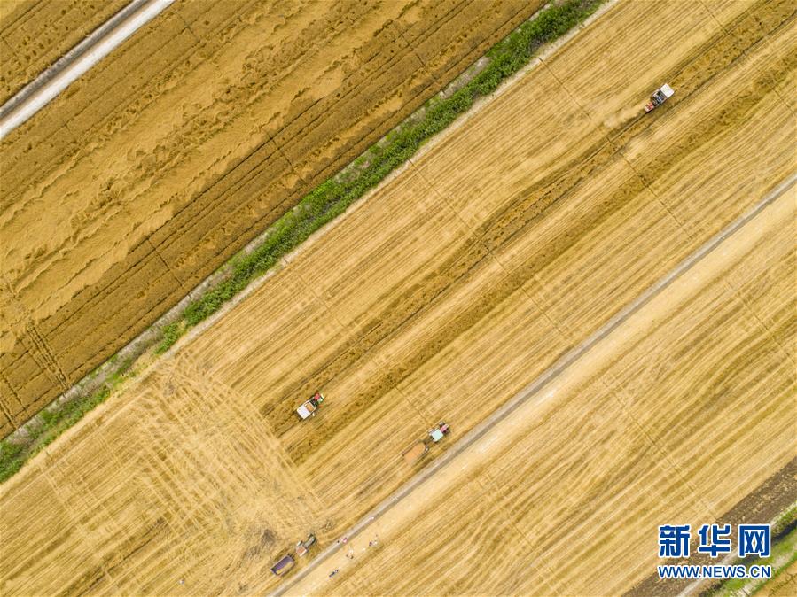 曾志權(quán)案開庭:被控受賄1.4億