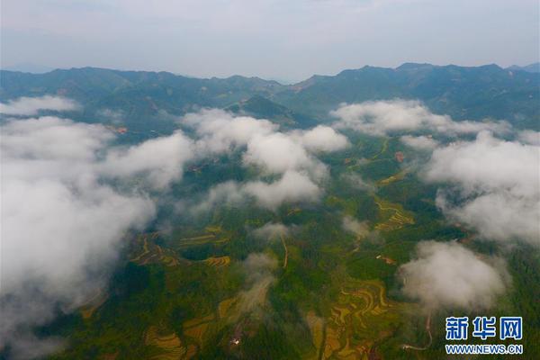 全新寶馬3系 競爭力提升明顯