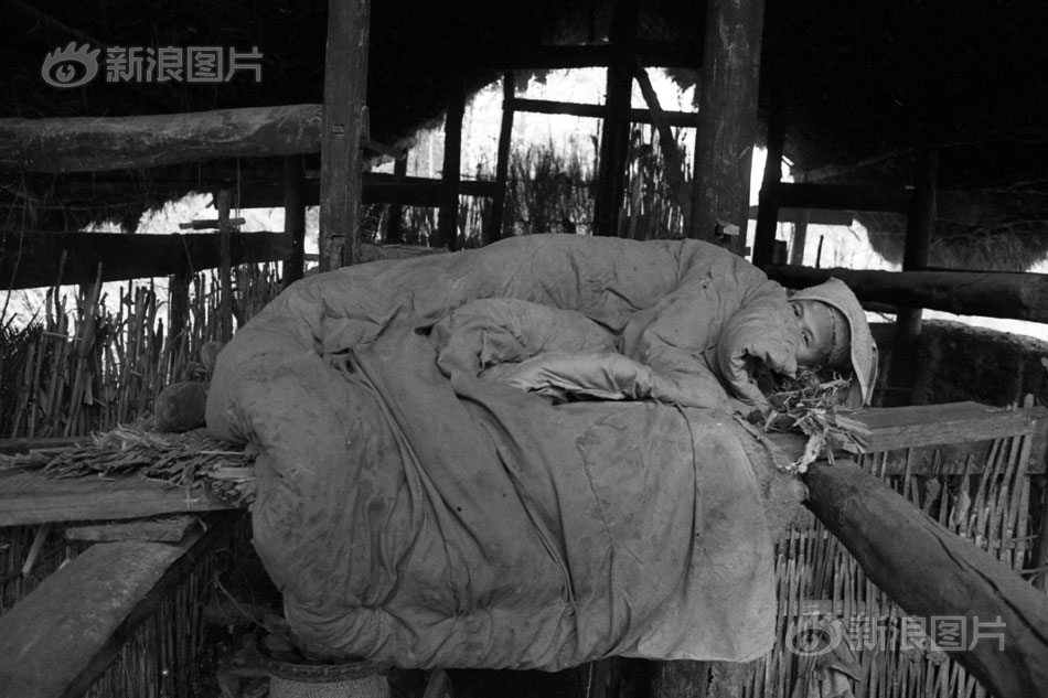 全新寶馬3系 競爭力提升明顯