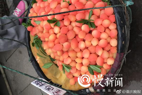 滴滴付強(qiáng)：成立司機(jī)服務(wù)部 將設(shè)兩千名司機(jī)服務(wù)經(jīng)理