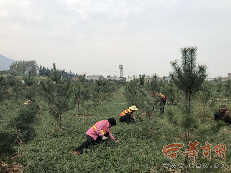 羅永浩曾深刻改變這個世界