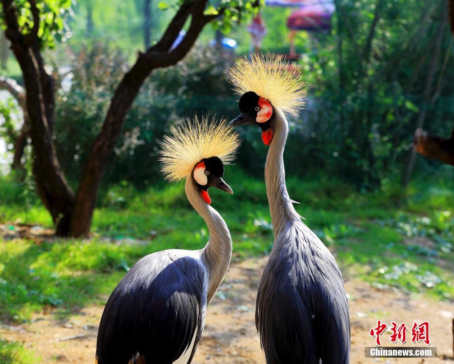 星云大師：吃虧的奧妙
