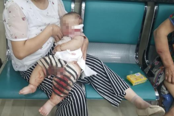五一小長假小客車高速免費