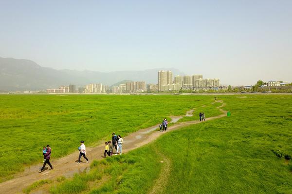 收評：創業板指下行跌2.55% 近300只股跌停