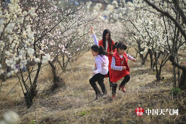 臺(tái)灣夫婦為孩子打造106平自然之家 可隨心涂鴉玩耍
