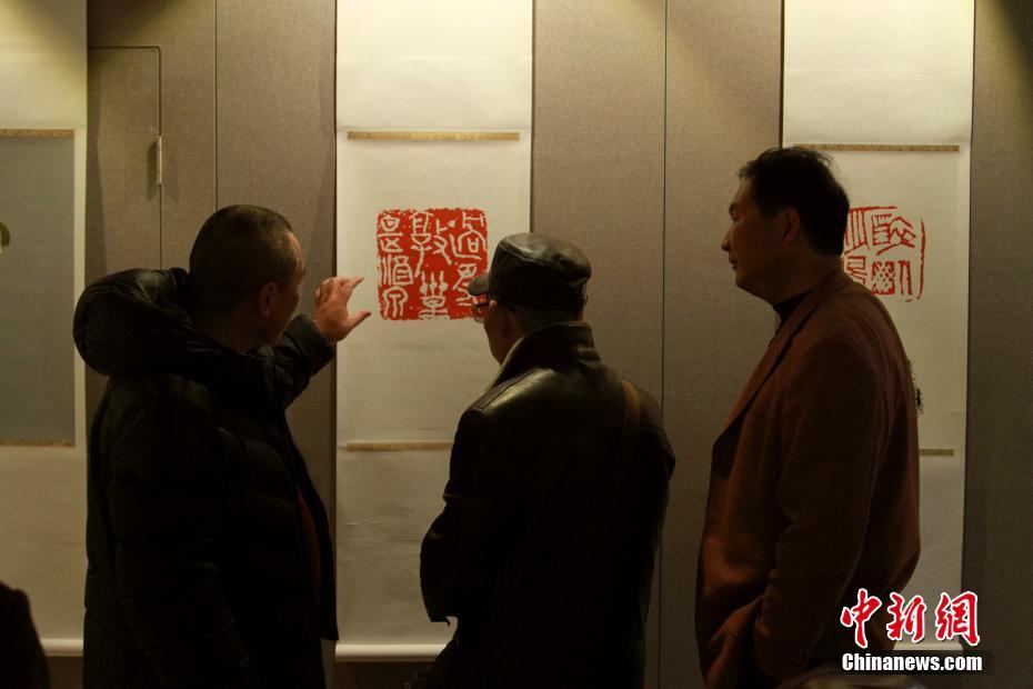 日本4只松鼠爭先出巢 腦袋填滿樹洞惹人喜愛