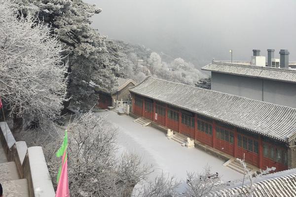 走出無效努力的怪圈：對的方向比努力更重要