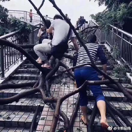 歷史上真實的宮斗比電視劇還殘酷