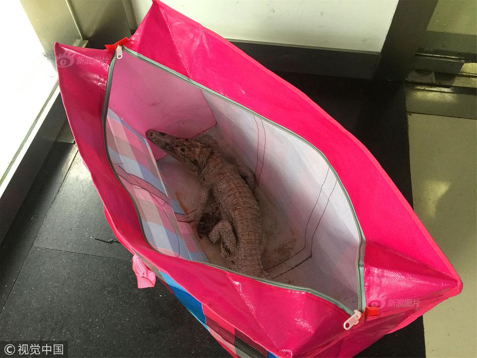 《死亡擱淺》現實隱喻孤獨與連接