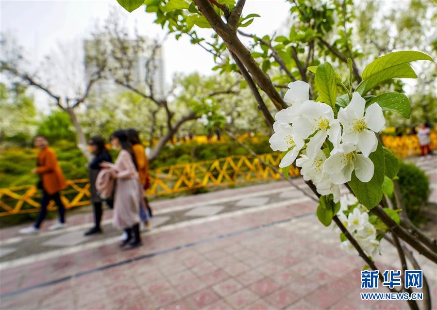 他為中國導(dǎo)彈雕刻翅膀 零件厚度僅頭發(fā)絲的1/16(圖)