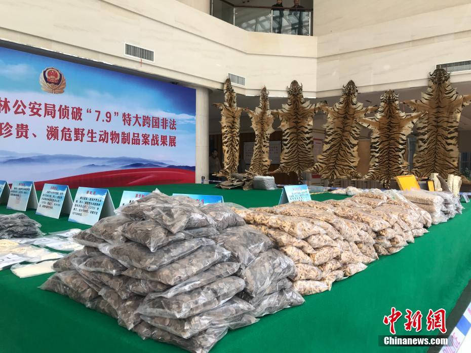 清華大學發布AI使能平臺“紫為云” 加速AI落地