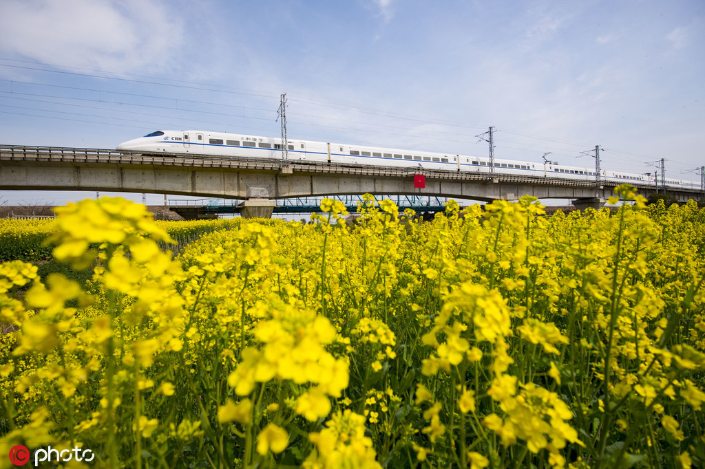 28輛車連環(huán)相撞致4死 現(xiàn)場(chǎng)大火燃燒濃煙滾滾