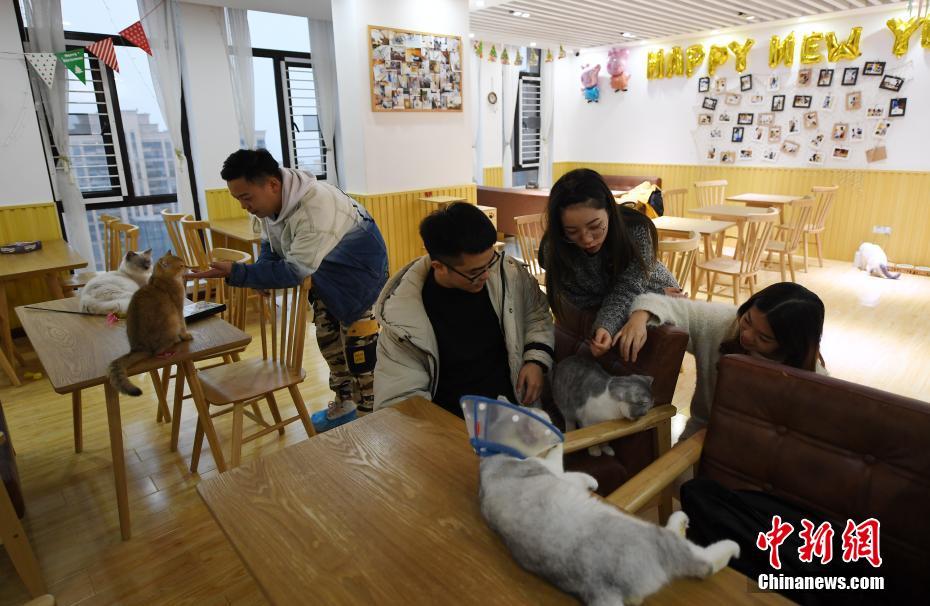 利比亞法院審判IS成員時遭襲 4名安全人員死亡