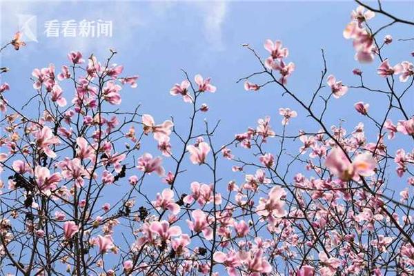 重慶參與一帶一路建設(shè) 從內(nèi)陸腹地走向開放前沿