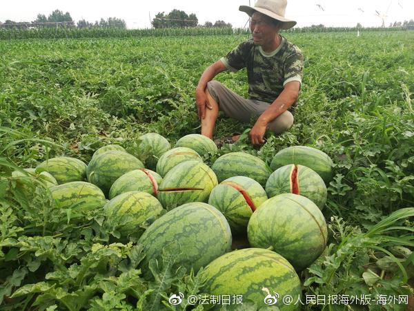 只要能活得好，她不介意做個(gè)毒婦