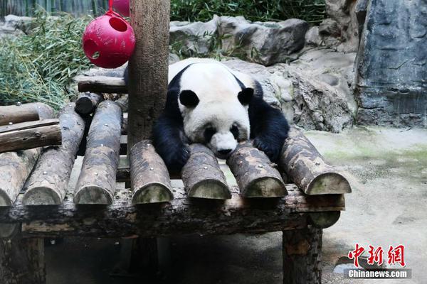 內塔尼亞胡的新起點與老套路